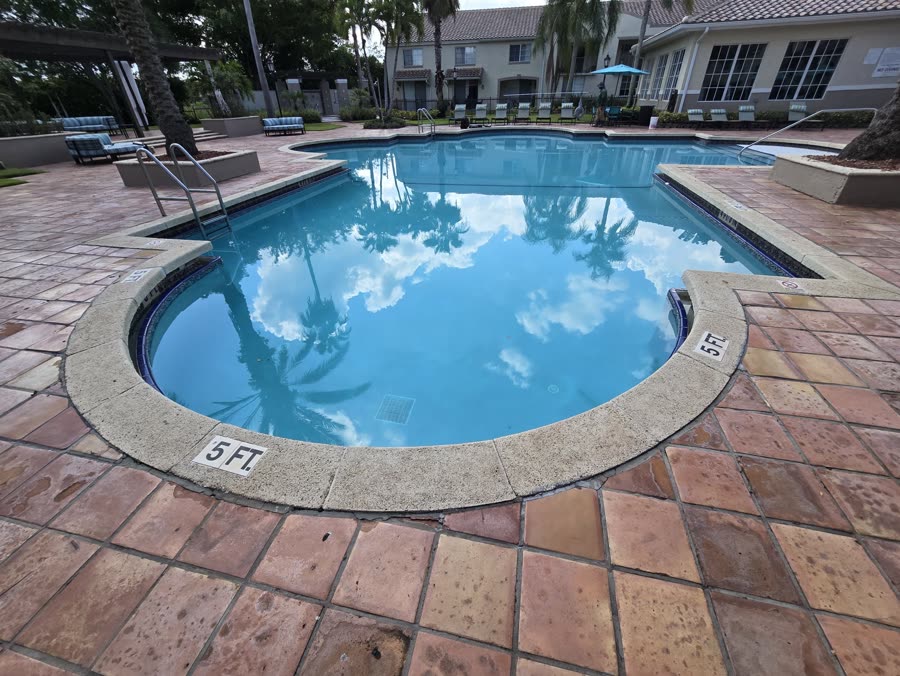 Commercial pool surrounded by a brick deck and palm trees